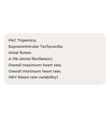Bluetooth  BP2 WIFI  AI Analysis Upper Arm Digital EKG Blood Pressure Monitor