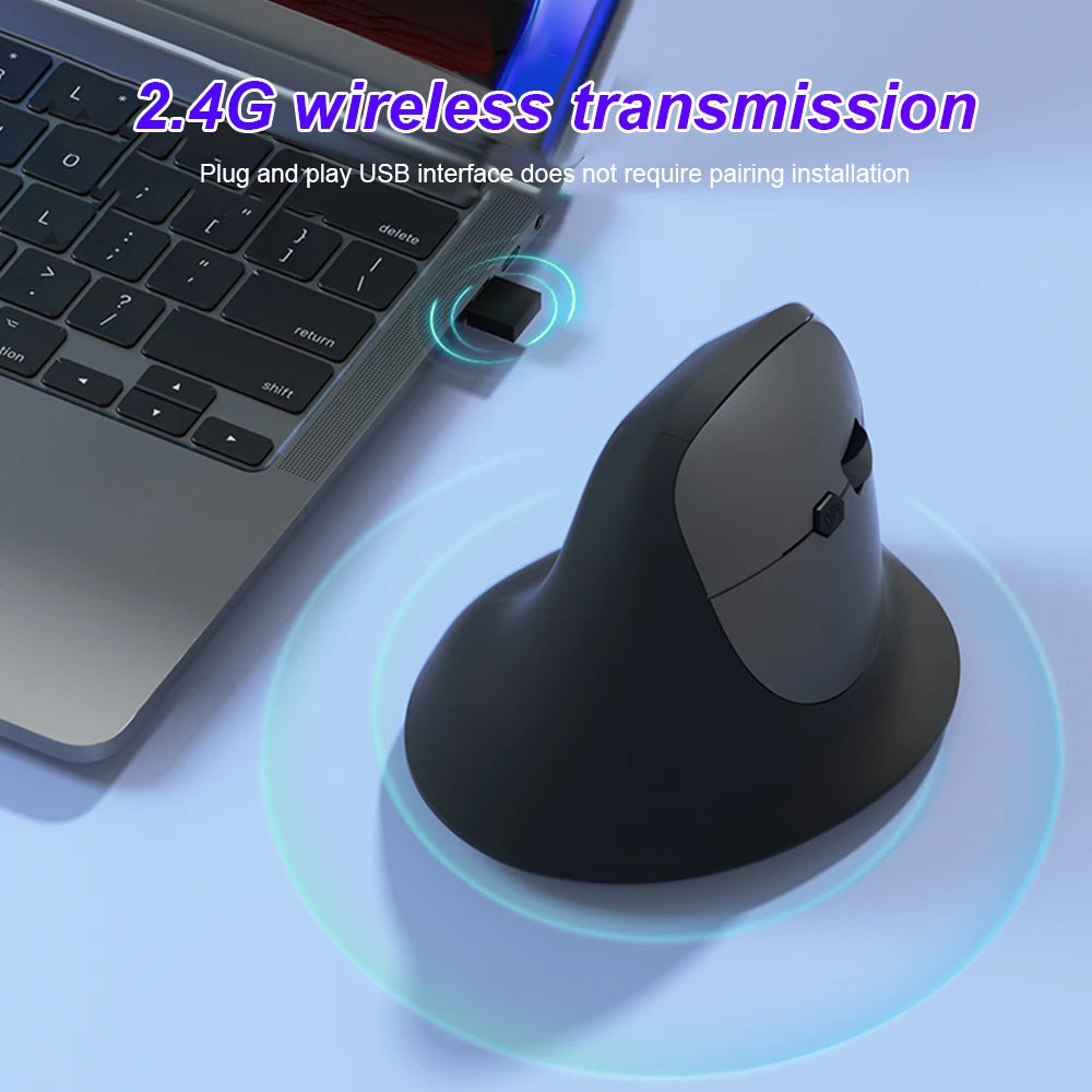 Ergonomic 2.4G Wireless Optical Mouse