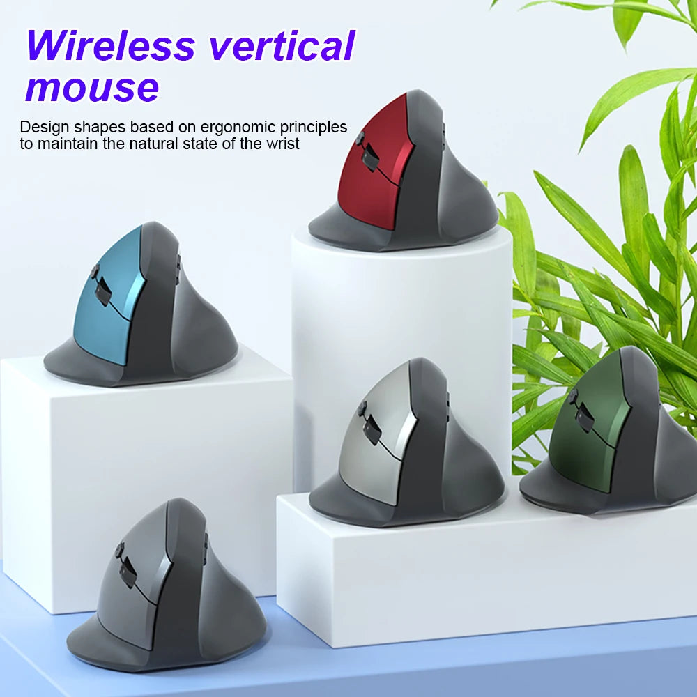 Ergonomic 2.4G Wireless Optical Mouse