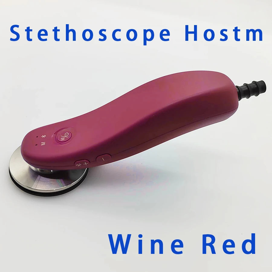 Electronic Stethoscope Accessories