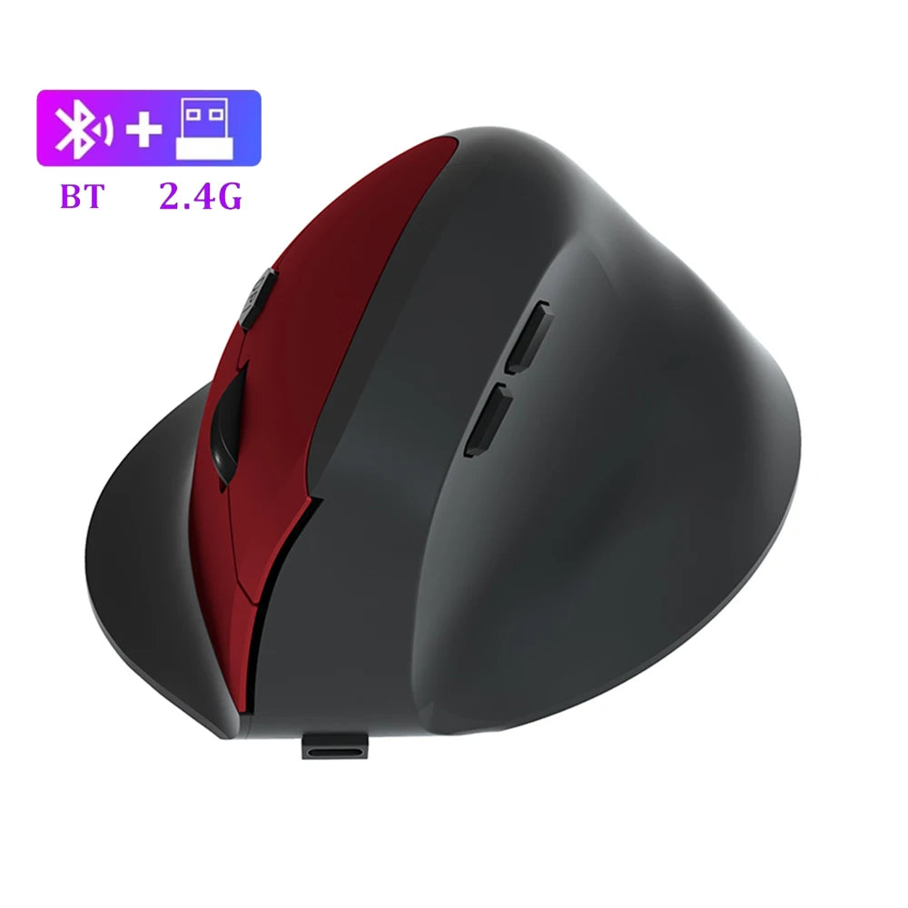 Ergonomic 2.4G Wireless Optical Mouse